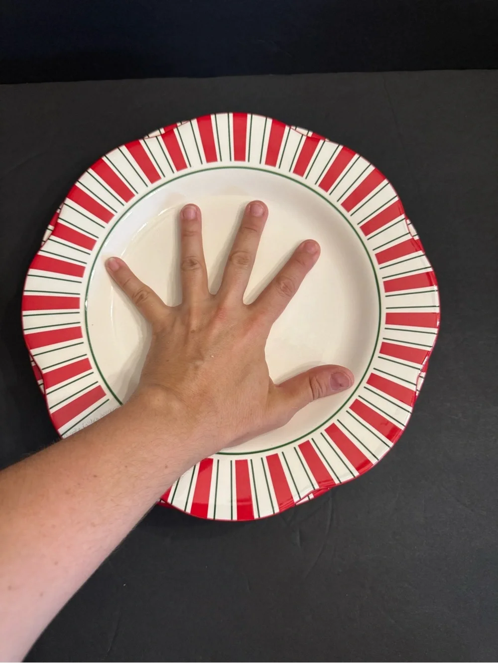 1 Pier 1 Candy Cane Dinner Plate 11